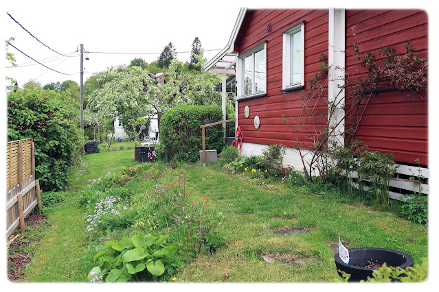 Odins hage i Solvang kolonihager, avdeling 1 på Sogn i Bydel Nordre Aker i Oslo.