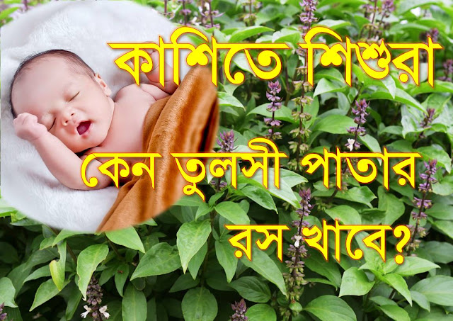 কাশিতে শিশুরা কেন তুলসী পাতার রস খাবে?