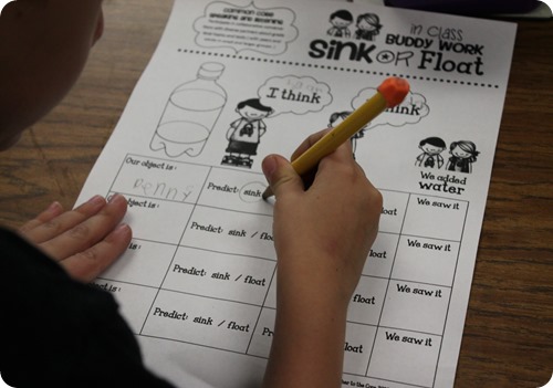 Sink or float buddy science project predicting together