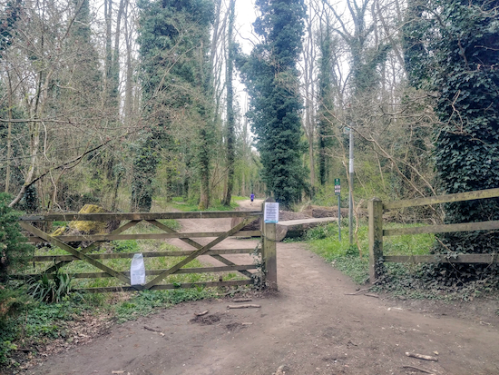 The gate leading back to Whippendell Wood from Rousebarn Lane