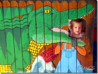 alligator bite