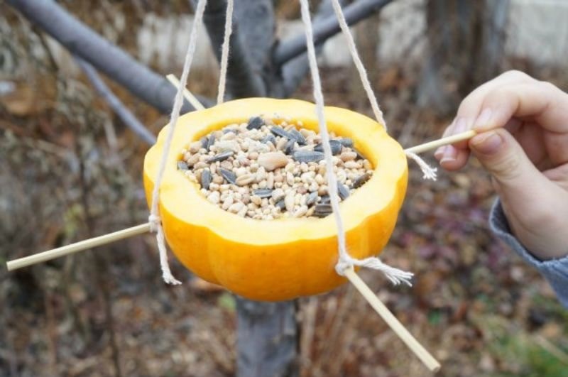 gourd bird feeder