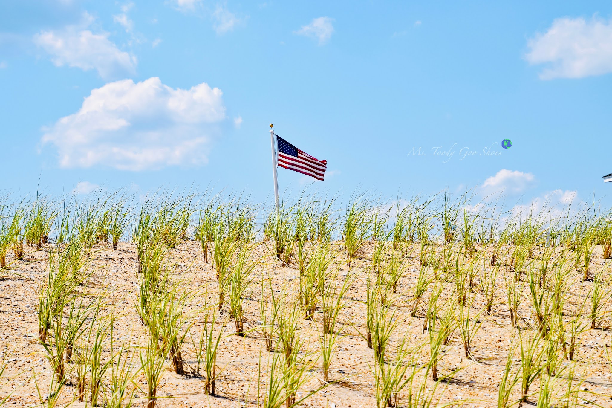 American Flags, Long Beach Island, NJ | Ms. Toody Goo Shoes