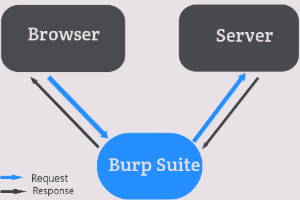 how burp works