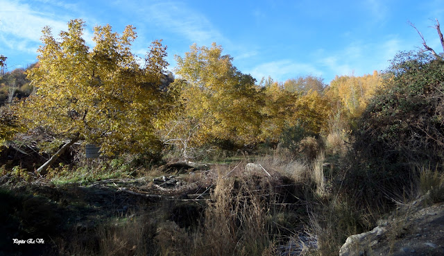 Otoño, senderismo, Jérez del Marquesado