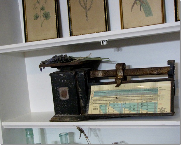 scale 2
