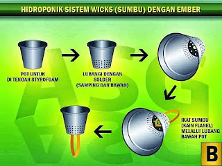 Menaman Cabe Hidroponik Sistem Sumbu