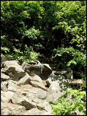 Hiking to Ocean Overlook (107)