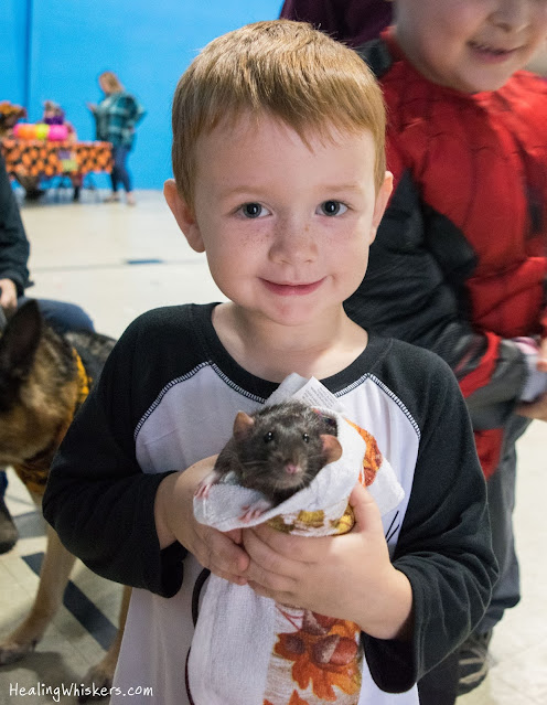 Franklin the Therapy Rat at Garden lakes trunk or treat