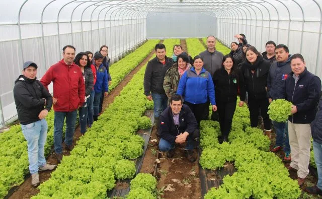 INDAP adelanta el pago del capital de trabajo para pequeños agricultores