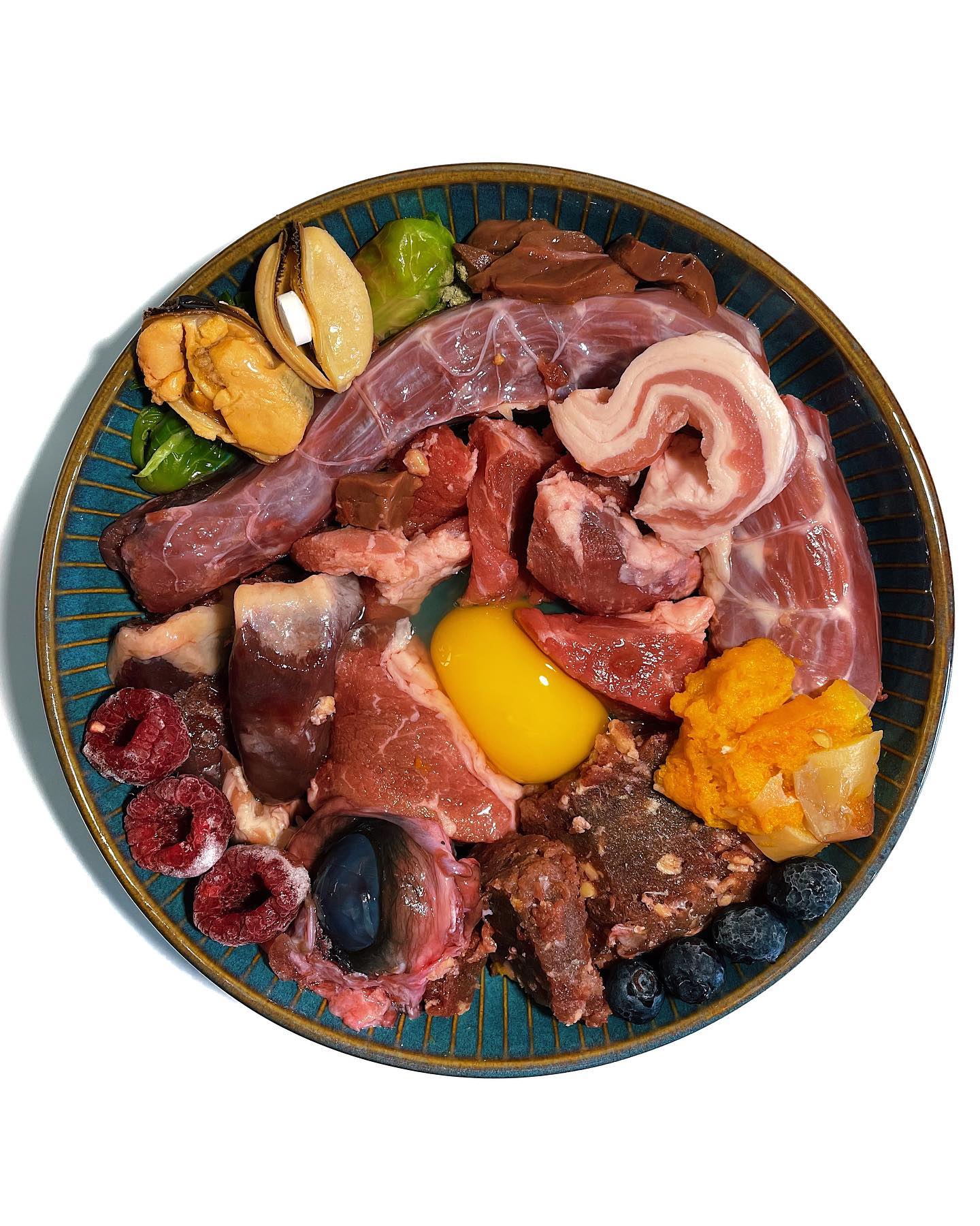 bowl of raw dog food, balanced following NRC guidelines