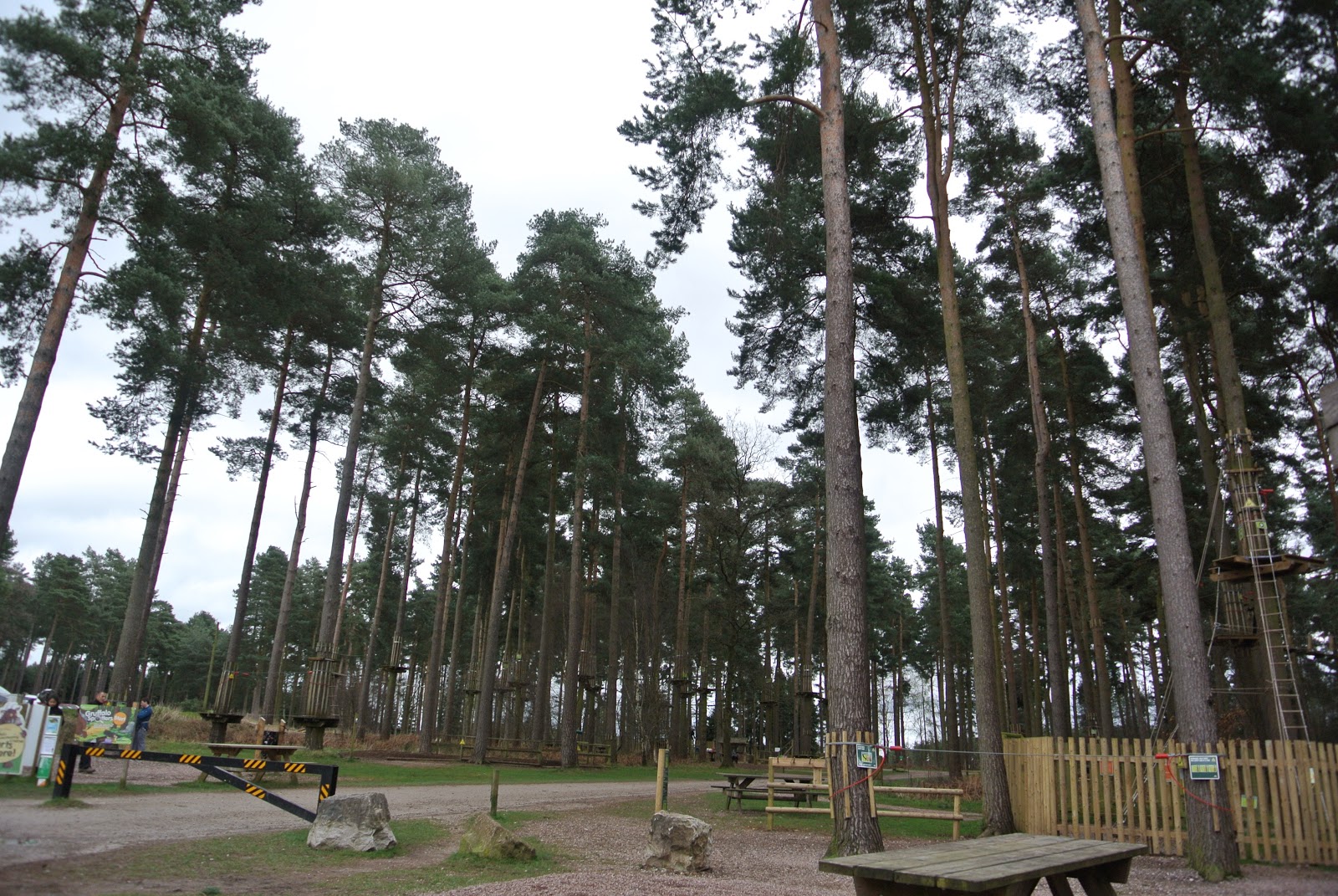 Review Go Ape Cannock Pretty Young Thing