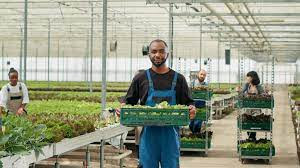 Indeed Farm worker Jobs 2022-2023 - Thebestlawyerhub