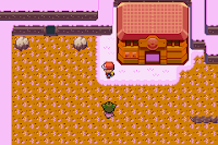 Pokemon Sweet Version screenshot 07