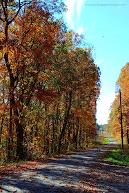 Tennessee Waterfalls, Travel, Hiking, Nature