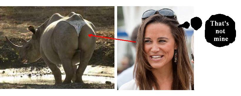 pippa middleton underwear pictures. PIPPA MIDDLETON UNDERWEAR