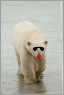 taylor p. bear