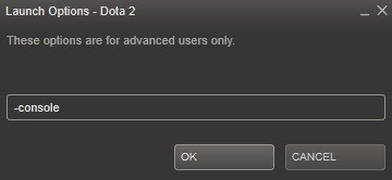 Dota 2 options