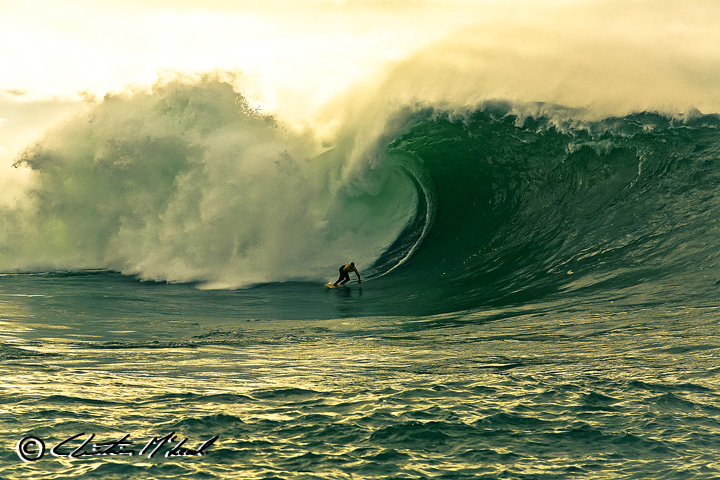 ... : Amazing Surf P