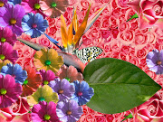 free spring wallpaper · Email This BlogThis! (free spring wallpaper )