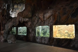 suasana dalam Kura-kura ocean park