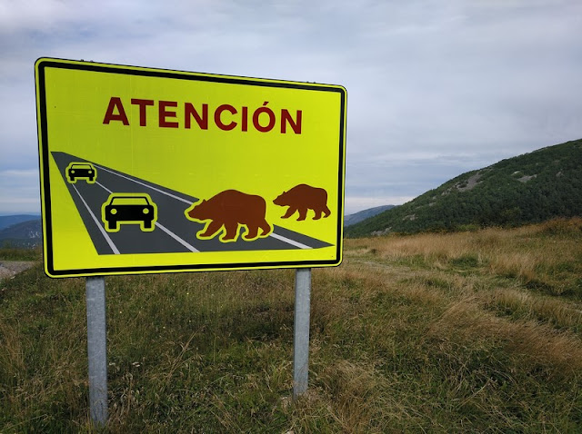 Cuidado con los osos al conducir por la Reserva de Muniellos