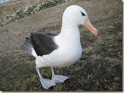 892