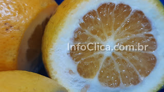 10 Benefícios da laranja para saúde