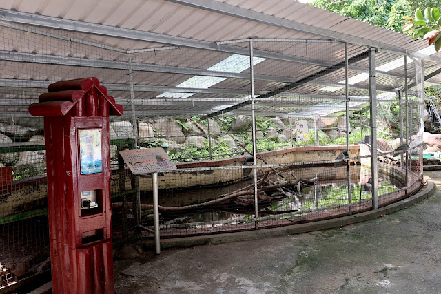 新北市淡水 親子景點 淡江農場