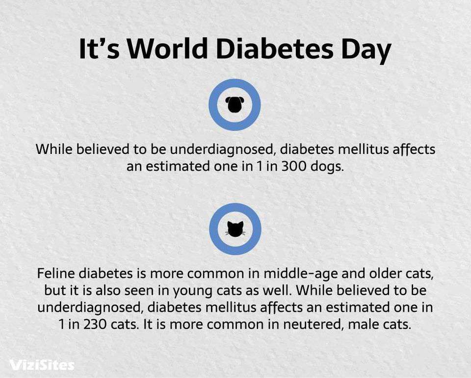 World Diabetes Day Wishes Lovely Pics