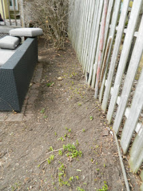 The Junction Spring Backyard Garden Cleanup After by Paul Jung Gardening Services a Toronto Gardening Company