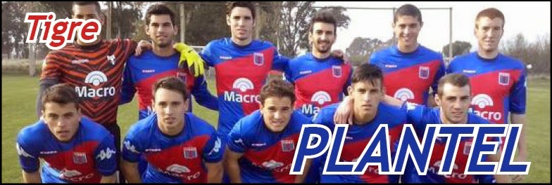 http://divisionreserva.blogspot.com.ar/2015/01/tigre-plantel-2014.html