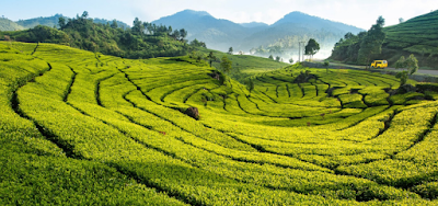  Bandung Day Tour Price
