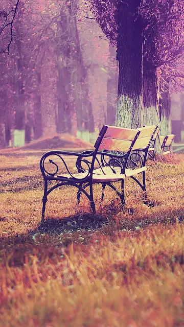 Park Chair Lonely iphone Wallpaper