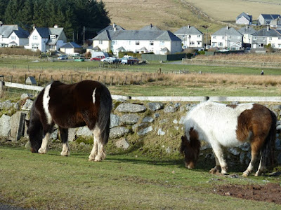 princetown devon