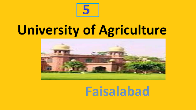 agriculture uni faisalabd