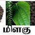 மிளகு  தங்கபஸ்மத்திற்கு இணையானது