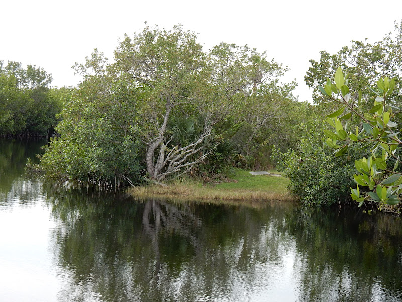 Everglades National Park, Florida, US, Miami,  elisaorigami, travel, blogger, voyages, lifestyle