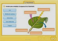 http://www.e-vocacion.es/files/html/143175/recursos/la/U02/pages/recursos/143175_P23/es_carcasa.html