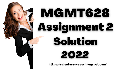 MGMT628 Assignment 2 Solution Spring 2022