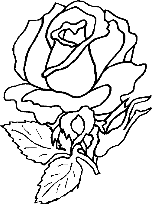 Rose flower coloring page picture 2 title=