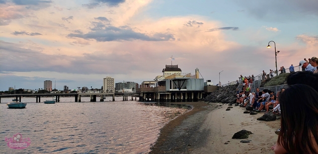 Pinguins em ST Kilda Beach