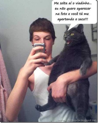 face outros gato