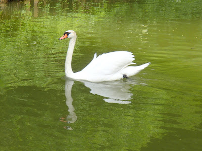 Mazury, żeglowanie po Mazurach, Jezioro nidzkie,Kanał Nidzki, Śluza Guzianka, jezioro Bełdany, burza na jeziorze, zabawa na plaży