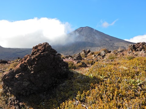 Tongariro Crossing i wizyta w Rotorua