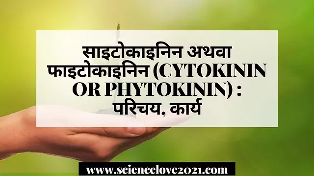 साइटोकाइनिन अथवा फाइटोकाइनिन (CYTOKININ OR PHYTOKININ) : परिचय, कार्य|hindi
