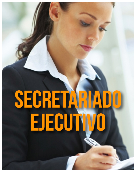 Resultado de imagen para SECRETARIADO EJECUTIVO