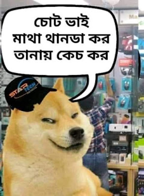 চোট ভাই মাতা টান্ডা কর, তানায় কেচ কর