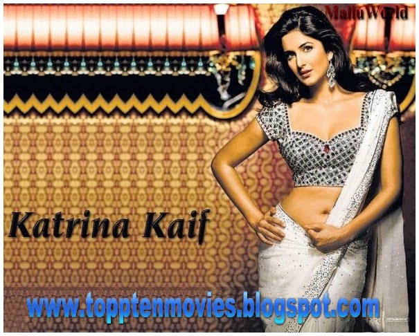 Katrina kaif Hot Sexy in Saree Exposing Her Sexy Navel