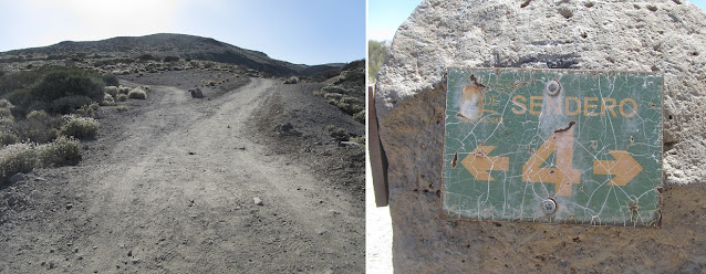 GR-131 TRAMO 5 EL PORTILLO - CENTRO DE VISITANTES (S-4 Siete Cañadas) A DEGOLLADA DE GUAJARA (S-5), pista Siete Cañadas